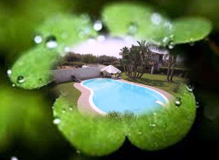 Piscina eco sostenibile: essere green conviene!