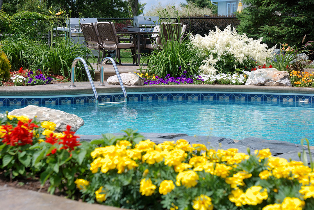 Fiori, aromi e piscine: una magica sinergia per il nostro benessere